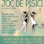 Joc de pisici 250x360 2018